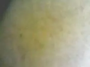 El tipo pagó para qu ...